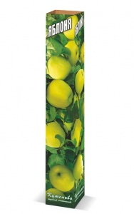 Яблоня Богатырь С7 Яблоня Богатырь в коробке