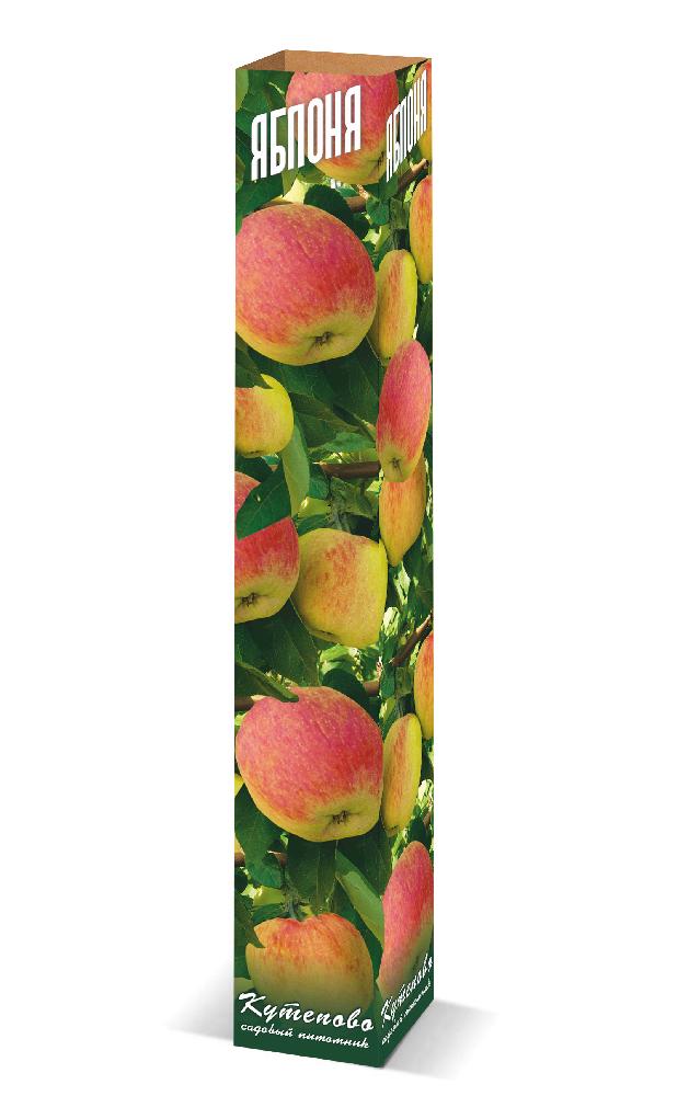 Яблоня в коробке Яблоня в коробке