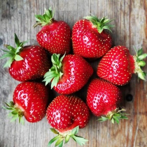 Земляника садовая (клубника) Зенга Зенгана С2 Земляника садовая (клубника) Зенга Зенгана С2