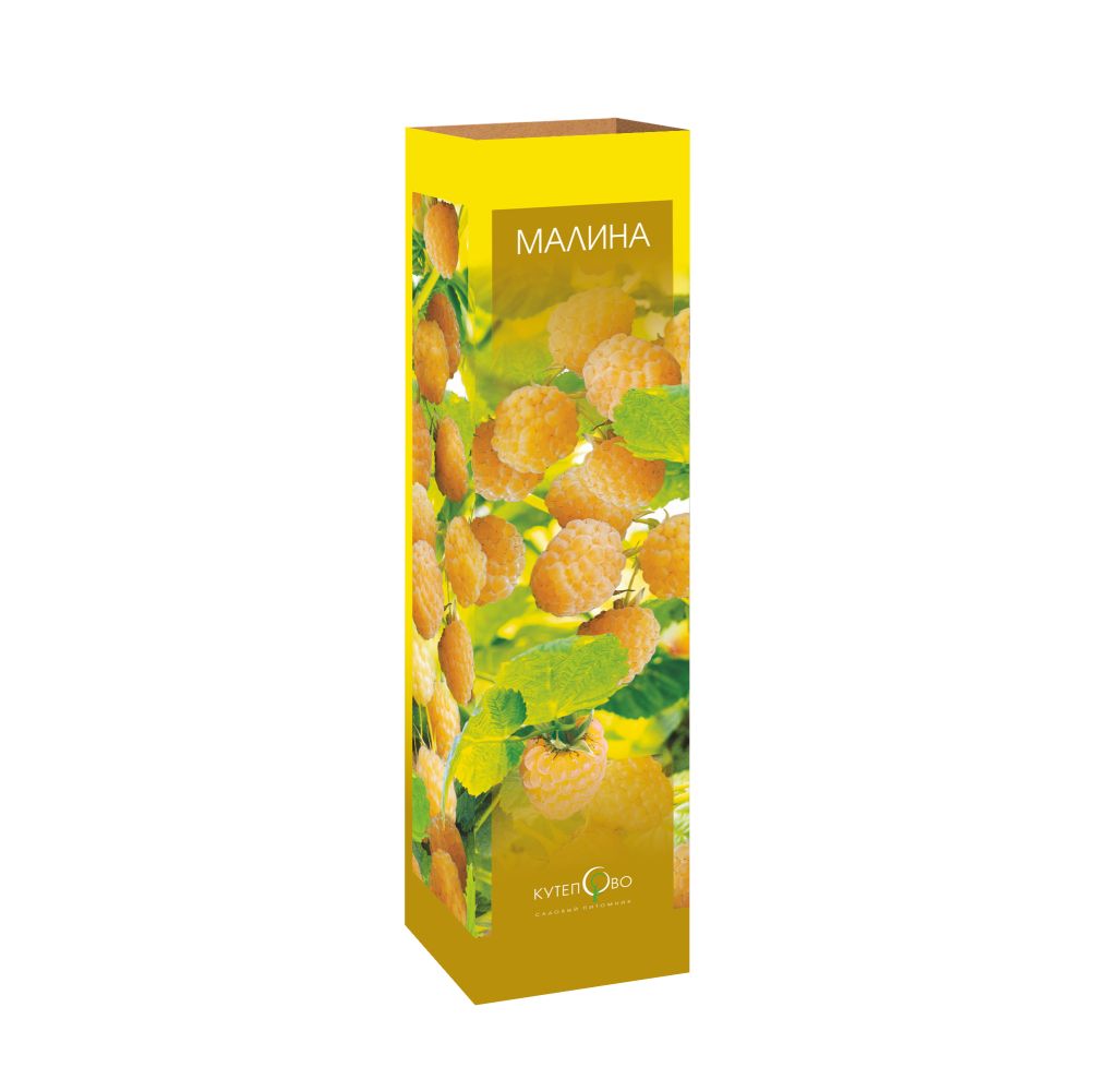 Малина желтоплодная в коробке Малина желтоплодная в коробке