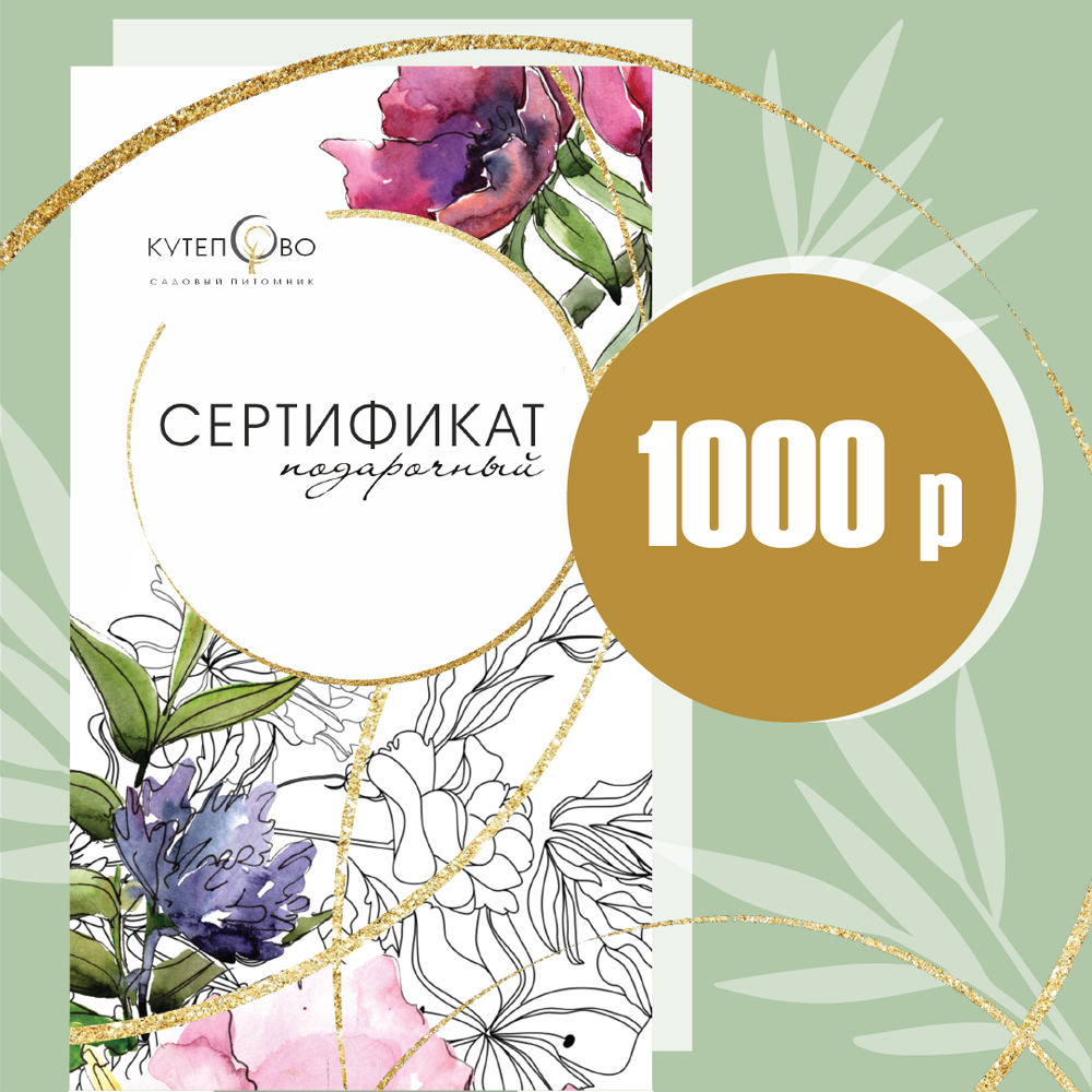 Подарочный сертификат Подарочный сертификат