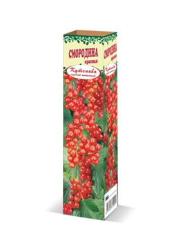 Смородина красная Уральские зори С3 Н40 Смородина красная Уральские зори С3 Н40