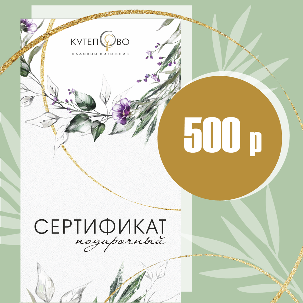 Подарочный сертификат Подарочный сертификат