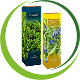 Саженцы в цветных коробках 2024 Саженцы в цветных коробках 2024